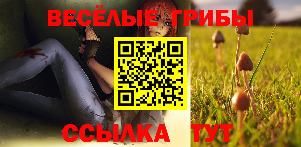 Галлюциногенные грибы Cubensis  Галлюциногенные грибы Magic Shrooms  Удомля  закладка  Вход с VPN 